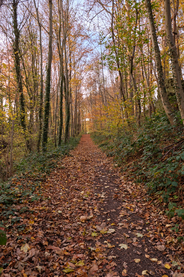 Bois De Rocs Un v nement une Photo bois-de-rocs-un-v-nement-une-photo